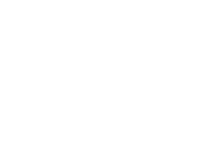 GE-FORCE-Logo white